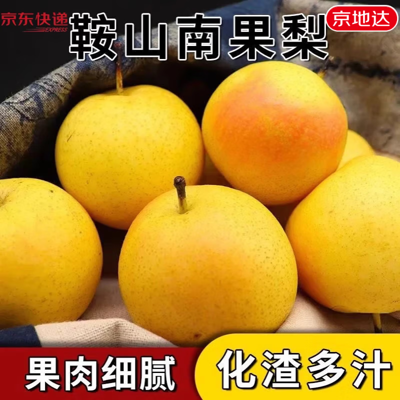 京地达辽宁鞍山花盖梨净重5斤16粒左右 31.9元 - 86线报