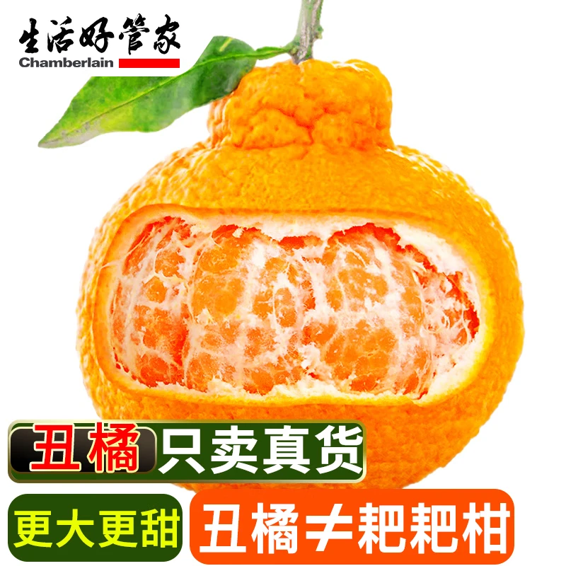 生活＆好管家 四川不知火丑橘净重8斤 19.8元 - 折送网