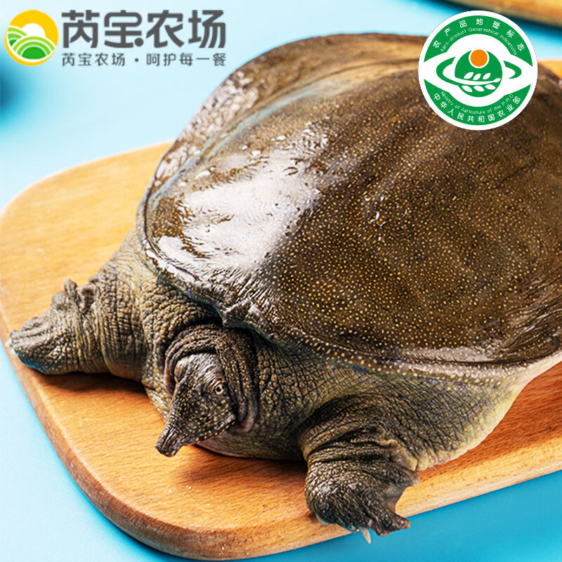 芮宝农场汉寿鲜活3年甲鱼2斤 65.9元，芮宝农场汉寿鲜活2年甲鱼1斤装两只 66.9元 - 线报酷