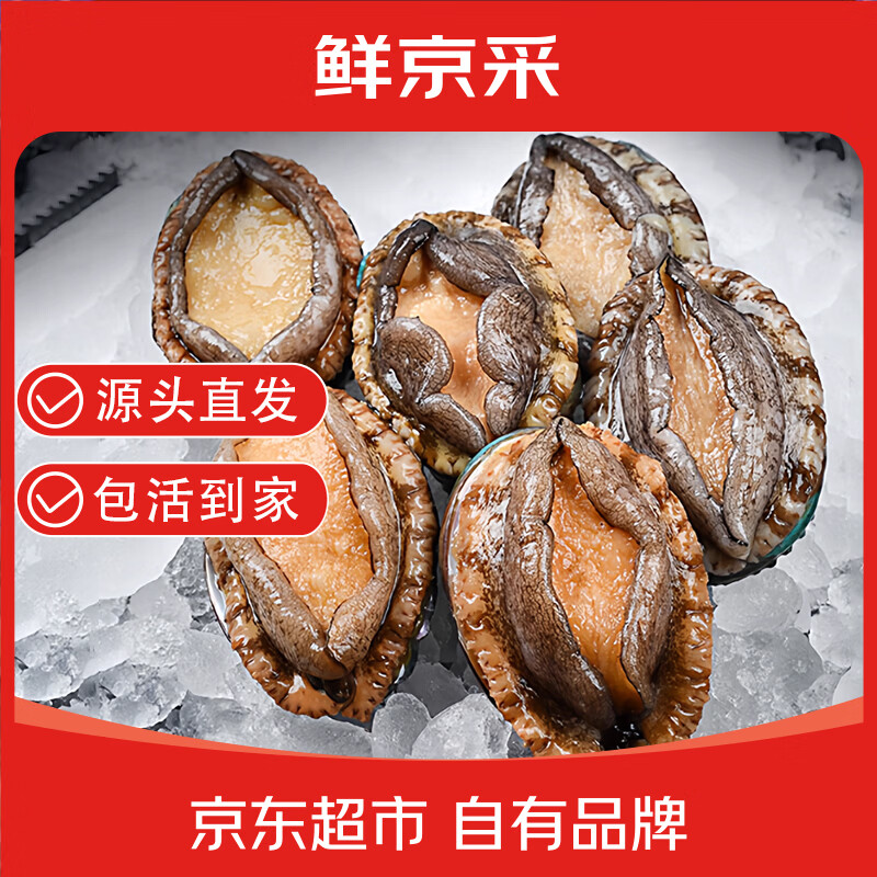 鲜京采鲜活鲍鱼净重1斤装 75.9元 - 86线报