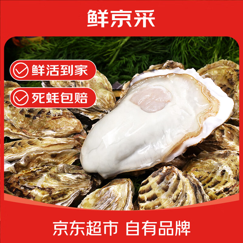 鲜京采鲜活5XL生蚝净重5斤 42元 - 线报酷
