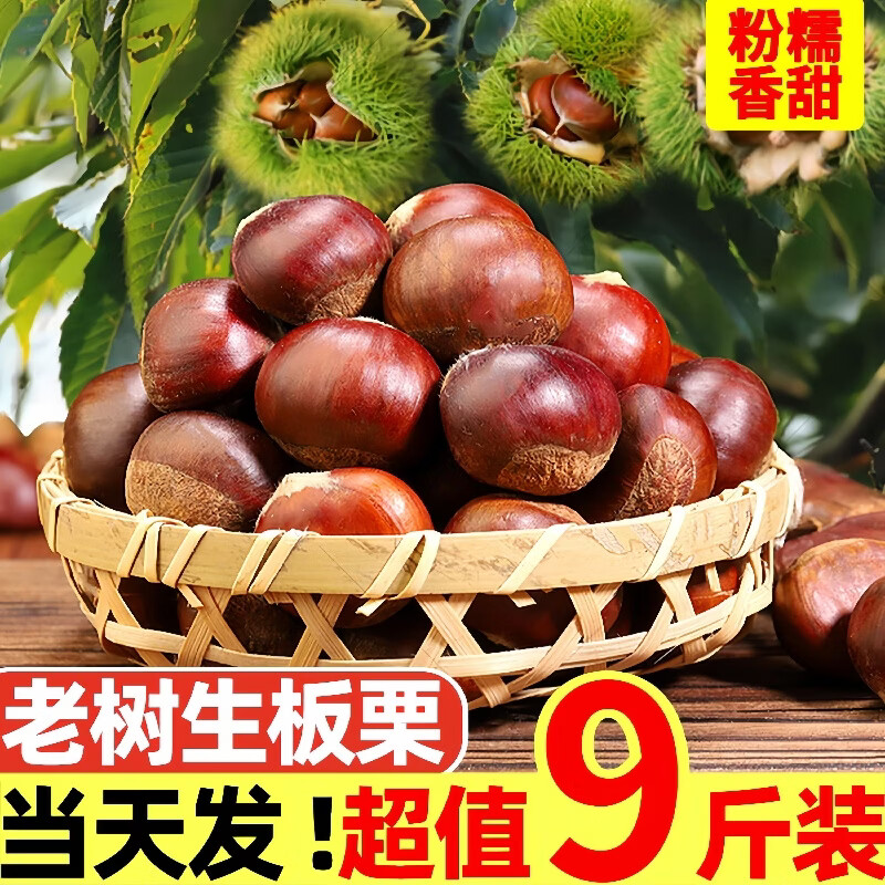 黄六爷新鲜丹东特大板栗5斤装 15.8元 - 86线报