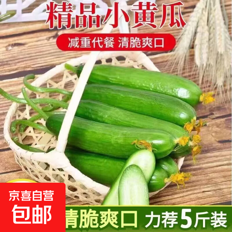 水果小黄瓜1.9元，水果小黄瓜5斤 9.9元 - 线报酷