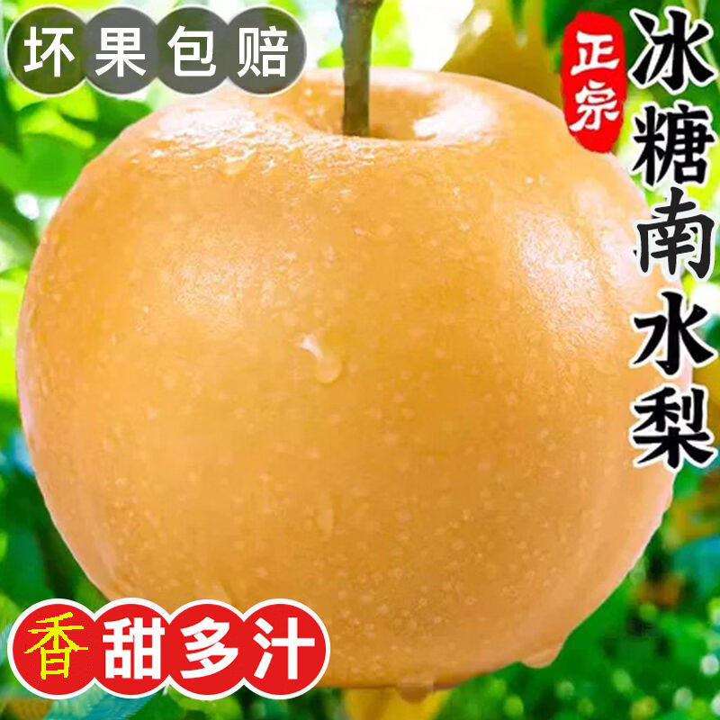 泽华果品南水梨净重4.5斤 14.9元 - 86线报