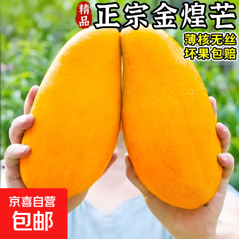 金煌芒果净重4.5斤 15.9元 - 线报酷