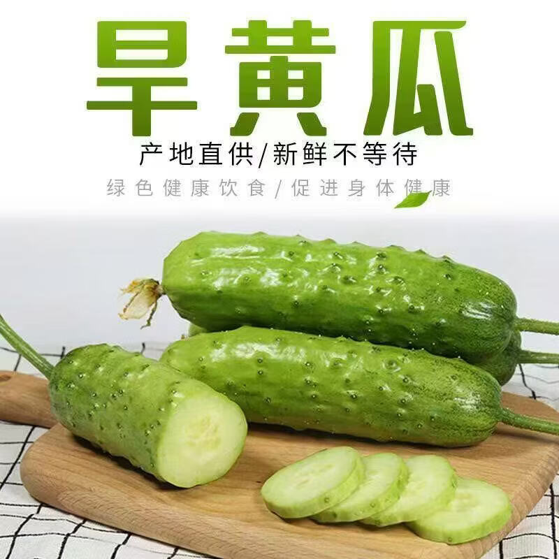 东北旱黄瓜带箱4斤 8.9元 - 线报酷