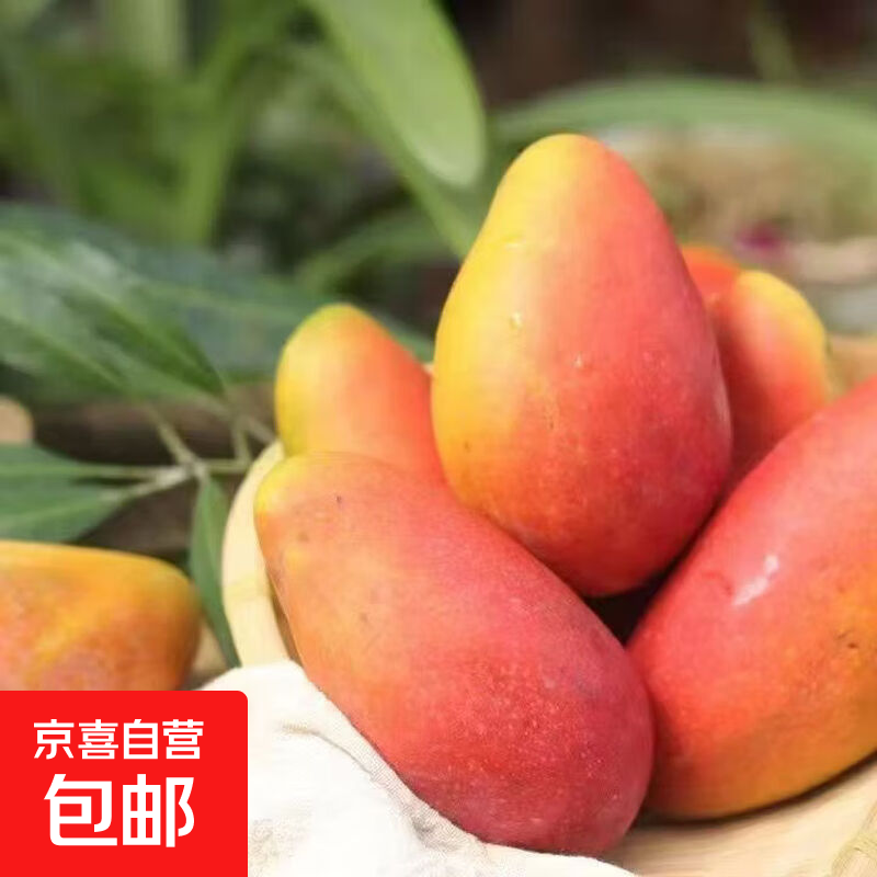 当季贵妃芒5斤 9.5元 - 线报酷