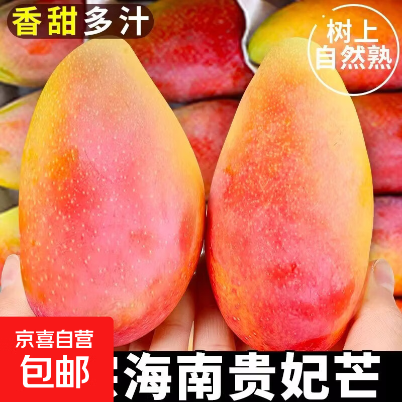 正宗海南贵妃芒果净重4.5斤 10.7元 - 折送网