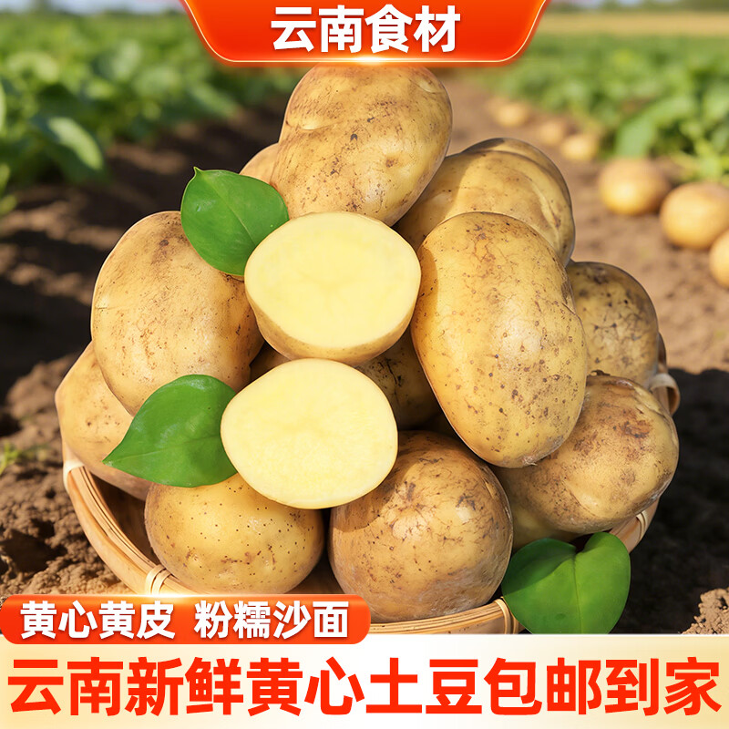 滇鲜生 黄心土豆 6.9 🉐中果3斤 粉糯沙面 - 线报酷