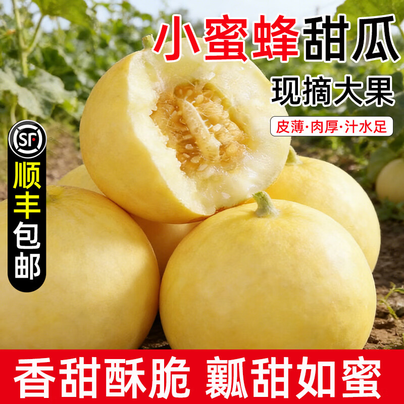 暖火山东小蜜蜂甜瓜净重4.5斤 39.5元 - 线报酷