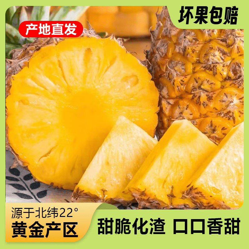 万邦海南金钻凤梨净重2.2-3斤 13.9元 - 折送网