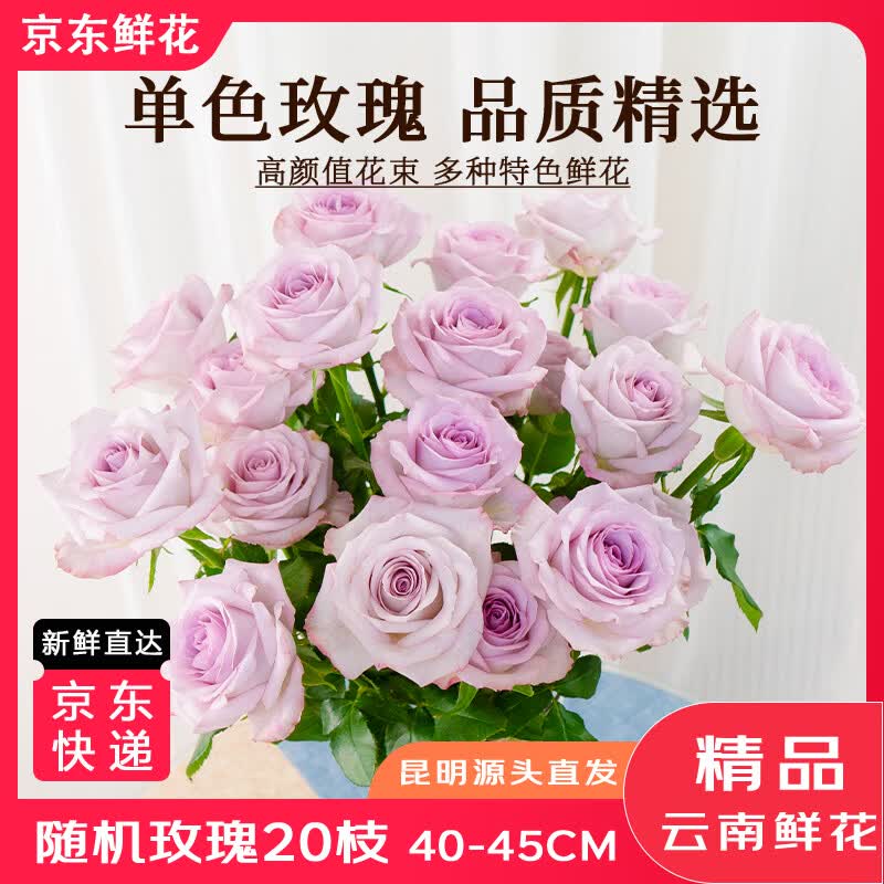 京东自营包邮玫瑰10枝+送10枝（共20支） 19.9元 - 线报酷