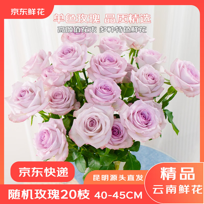 鲜花随机玫瑰鲜花20枝 19.9元 - 线报酷