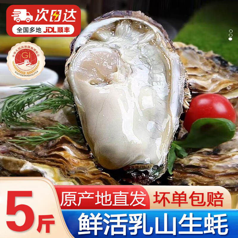 民鲜瑶乳山生蚝4XL净重5斤约12-16只 39.9元 - 折送网