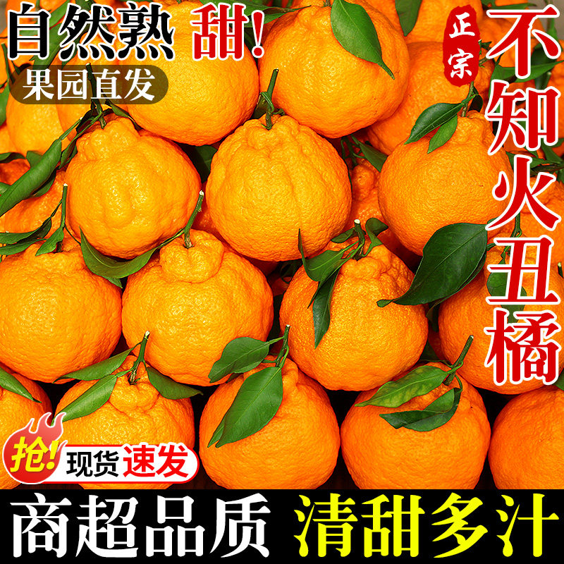正宗四川不知火丑橘净重8.5斤 25.9元 - 线报酷 正宗四川不知火丑橘净重8.5斤 25.9元 - 线报酷