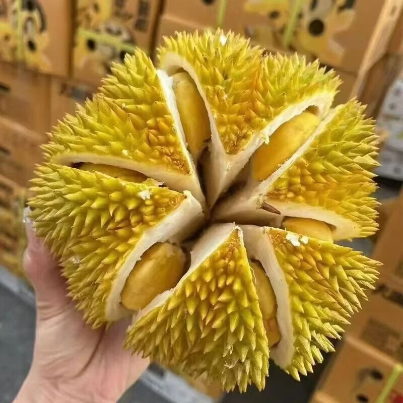泰国金枕头榴莲 74元 - 线报酷