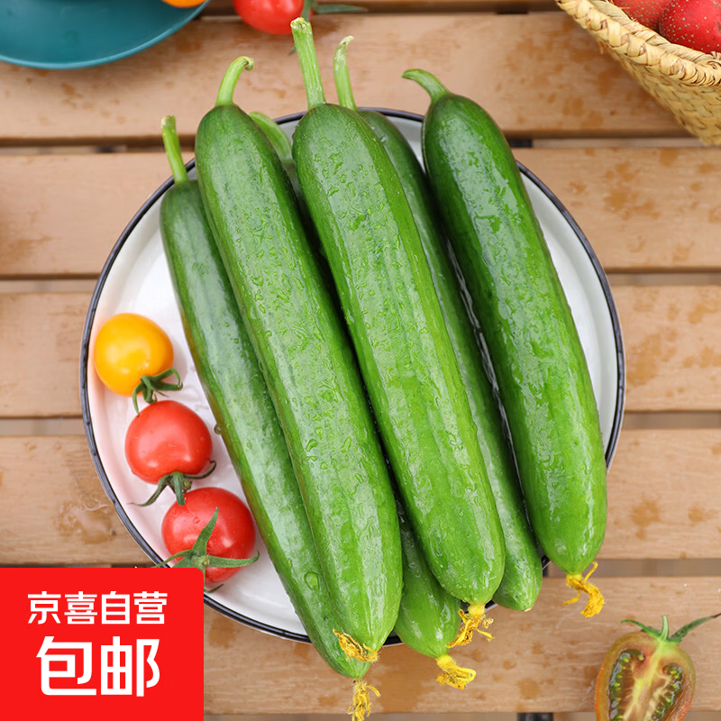 水果黄瓜带箱5斤 9.9元 - 线报酷