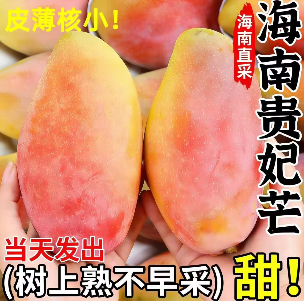 果领队正宗海南贵妃芒果净重4.5斤 11.9元 - 86线报
