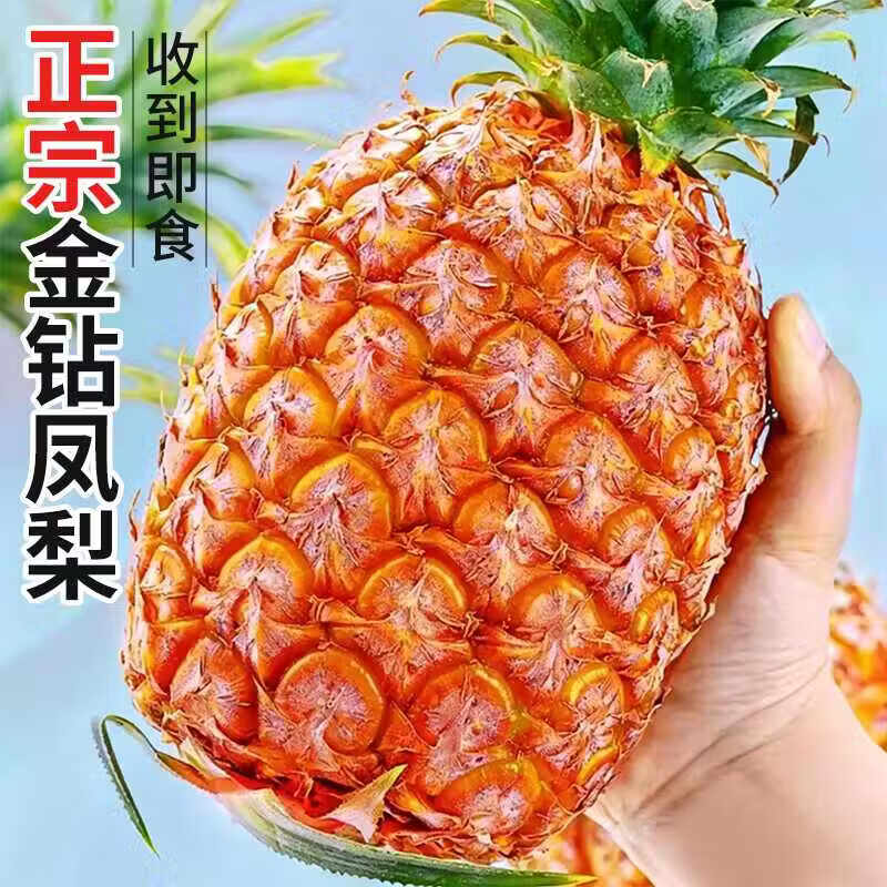 鲜友季金钻凤梨净重4.5-5斤 19.9元 - 折送网