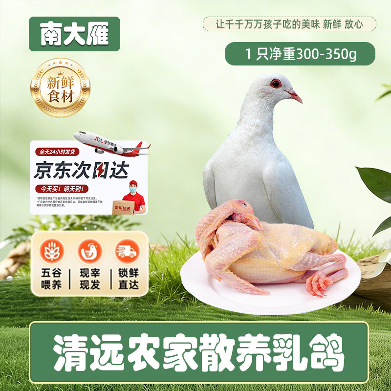 南大雁鲜鸽子4只2.4-2.8斤净重 69元 - 线报酷