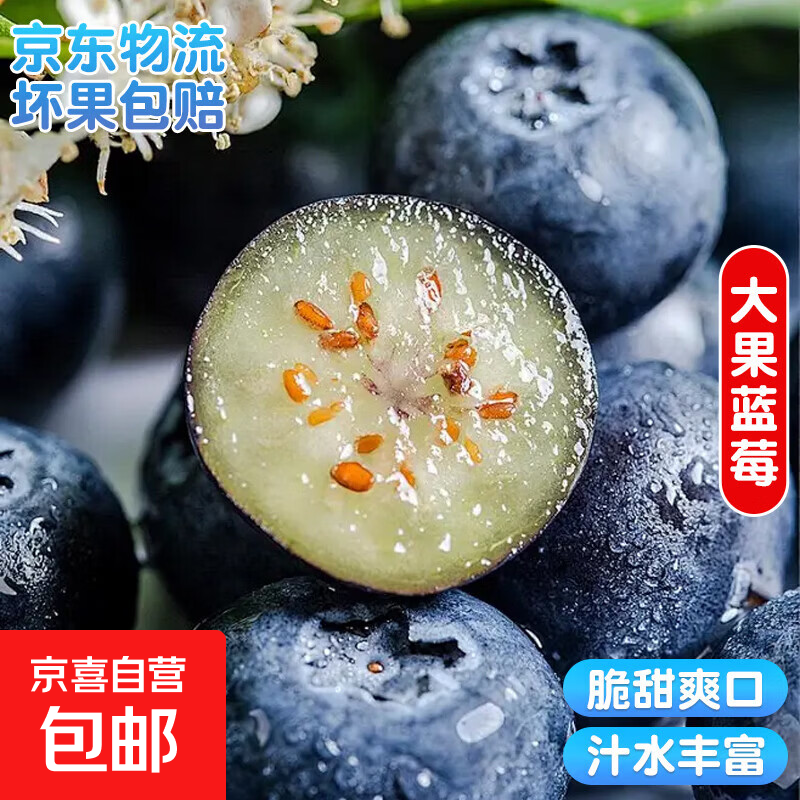 新鲜蓝莓70-90g*4盒 14.8元 - 线报酷
