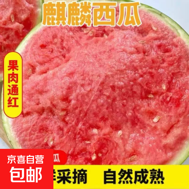 京喜自营麒麟西瓜净重5-7斤1个装 16.9元 - 线报酷