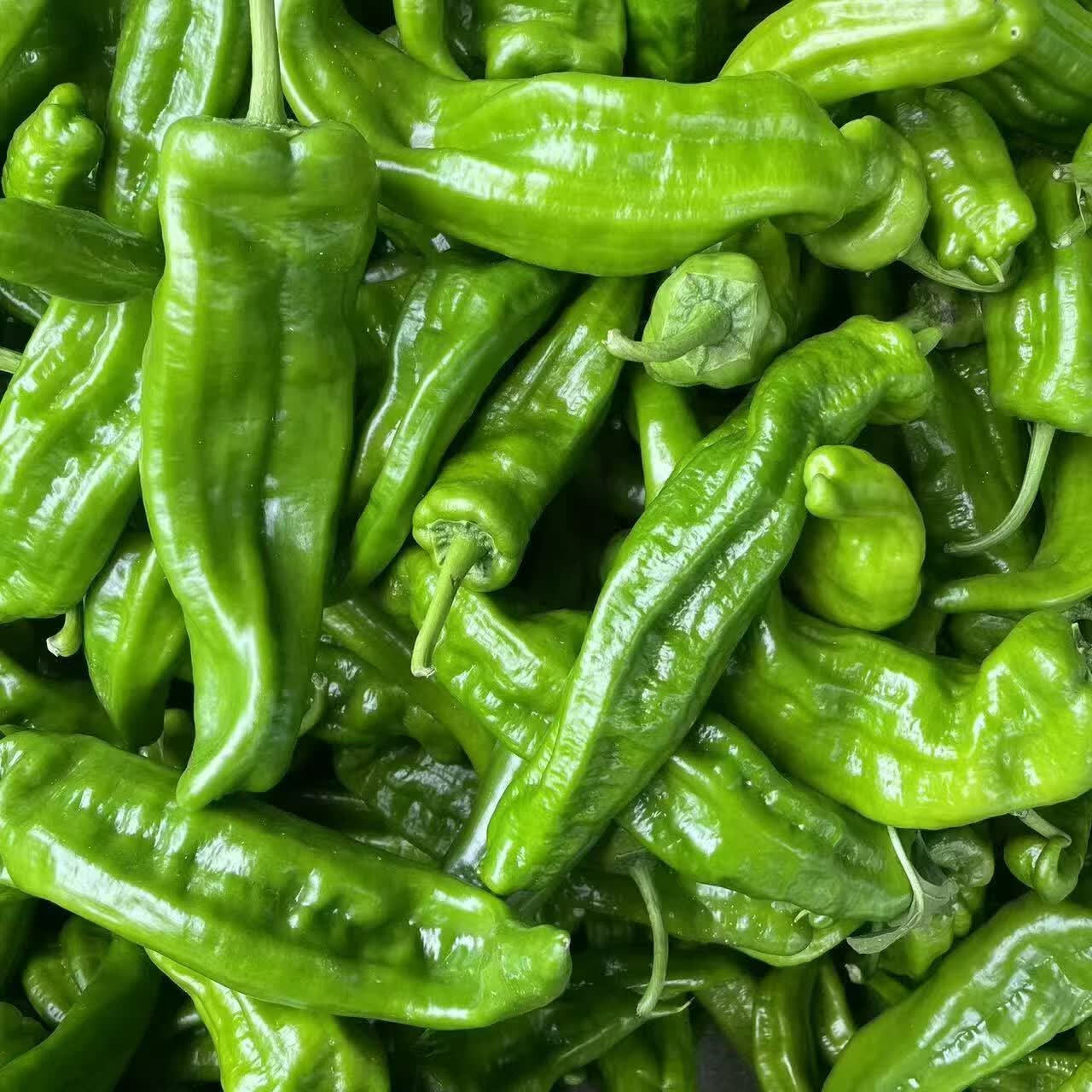 绿皮尖椒带箱3斤 7.9元 - 线报酷