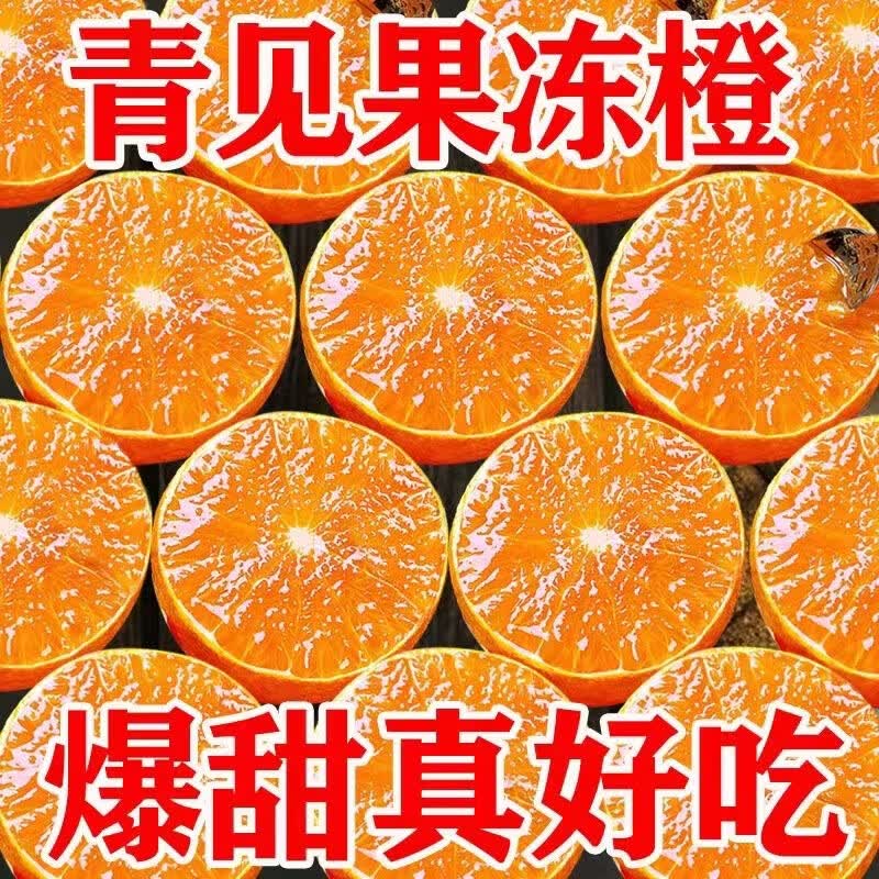 松林美果青见果冻橙柑橘净重4.5斤 14.9元 - 线报酷