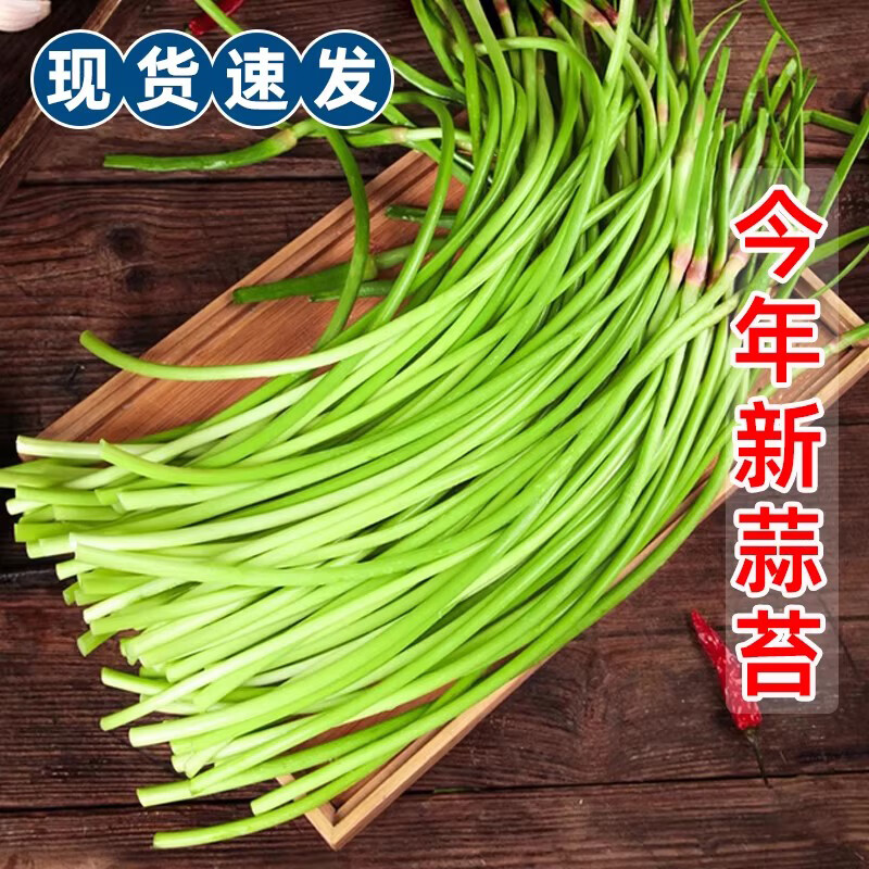 农根蔬新鲜蒜苔净3斤 7.9元 - 线报酷