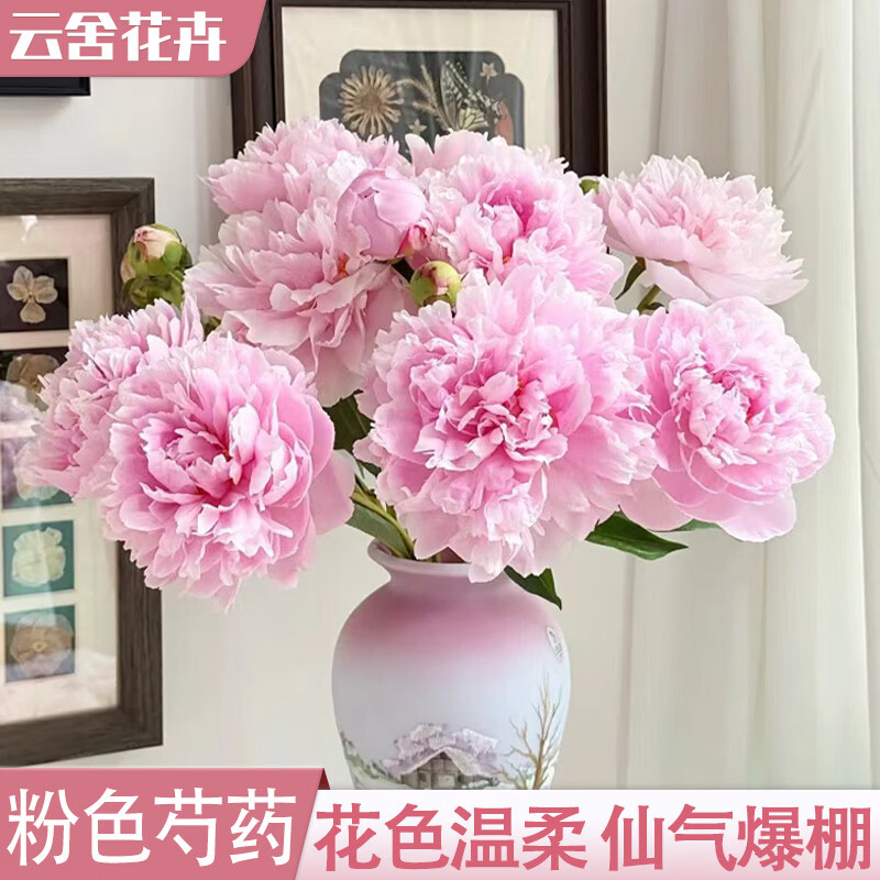 云舍花卉重瓣芍药花5支 12.9元，云舍花卉重瓣芍药花10支 18.9元 - 线报酷