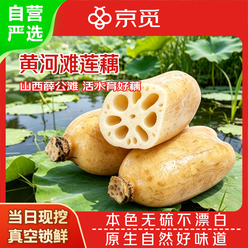 京觅黄河滩莲藕净重4.5斤 22.8元 - 86线报