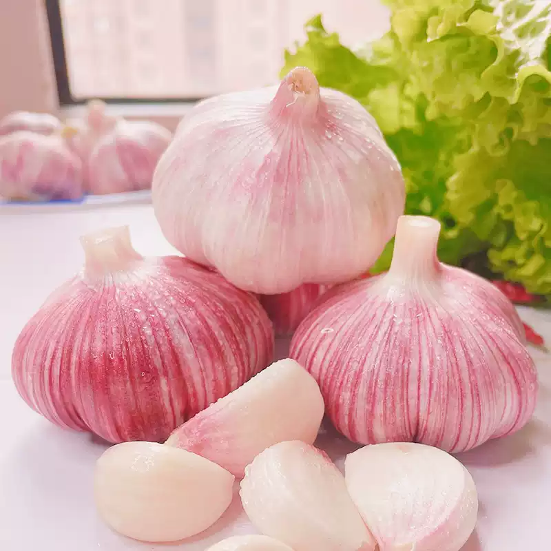 云南紫皮鲜大蒜5斤 15.9元 - 线报酷