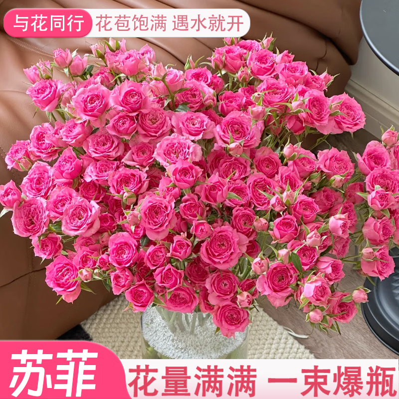 与花同行柔粉玫泡泡玫瑰 12.98元，与花同行橙色芭比多头玫瑰 13.99元 - 线报酷