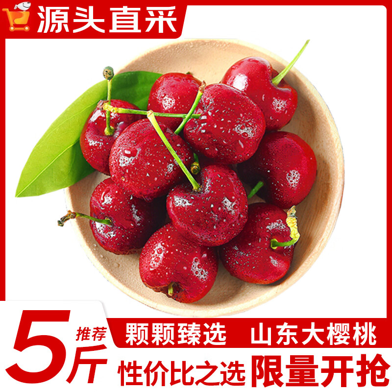 山东大樱桃净重4斤装 49.9元 - 折送网