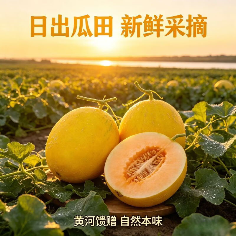 遇见悯农黄河蜜瓜4-5斤 16.9元 - 线报酷