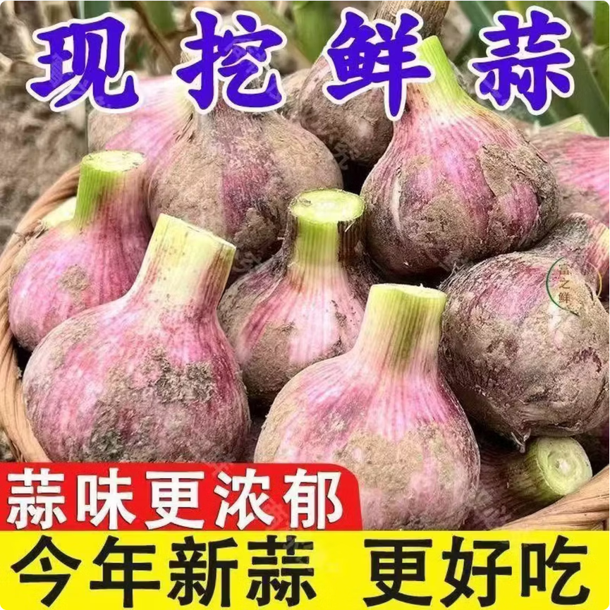 薏品甄鲜新鲜紫皮大蒜 6.9元 - 线报酷