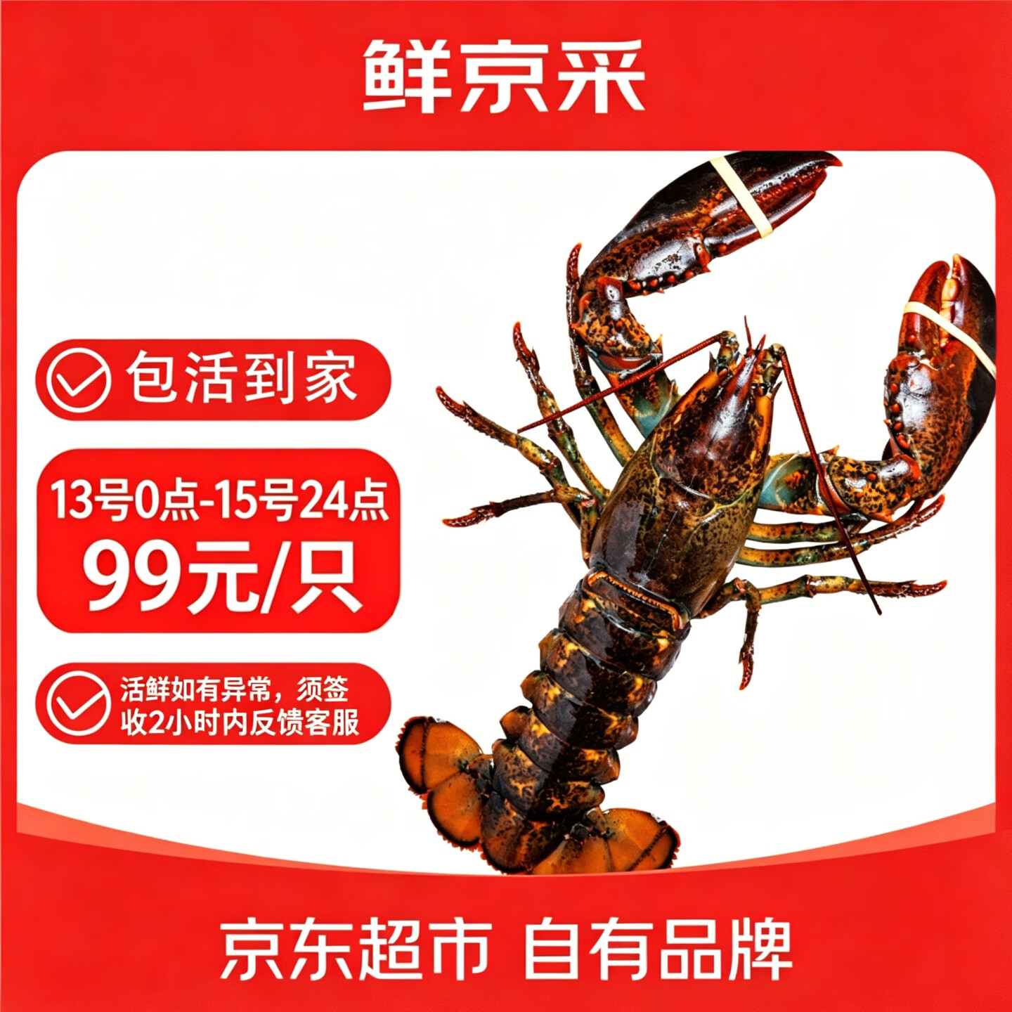 鲜京采鲜活波士顿龙虾净重400g-500g/只 99元 - 线报酷