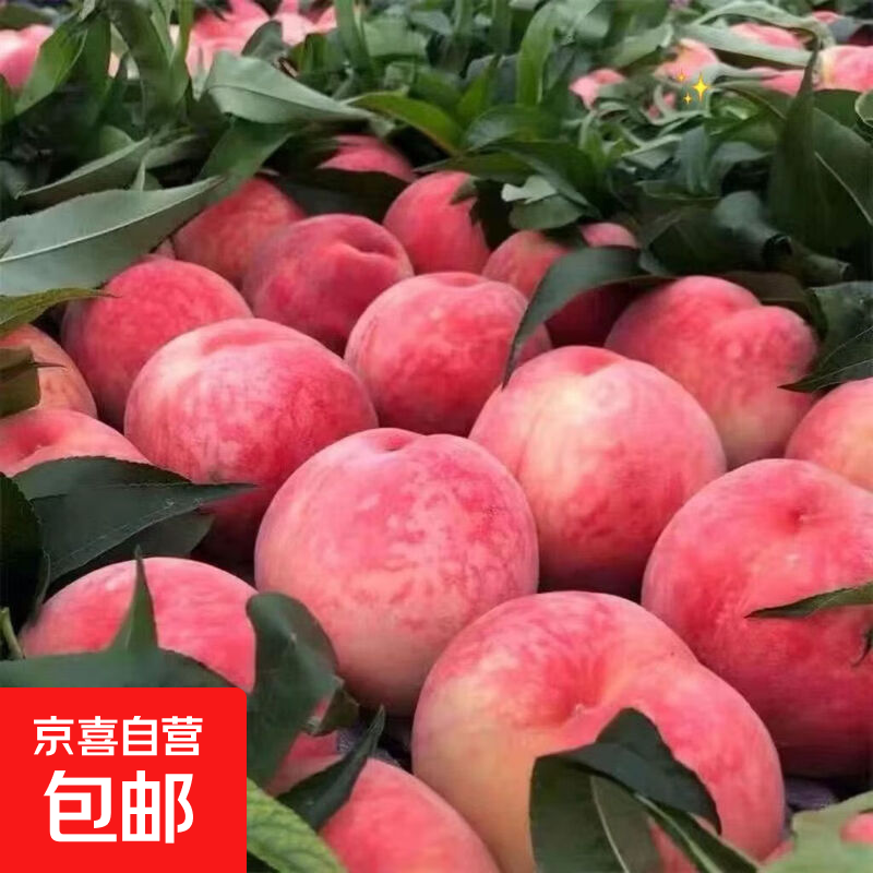 头茬水蜜桃5斤 18.9元 - 线报酷