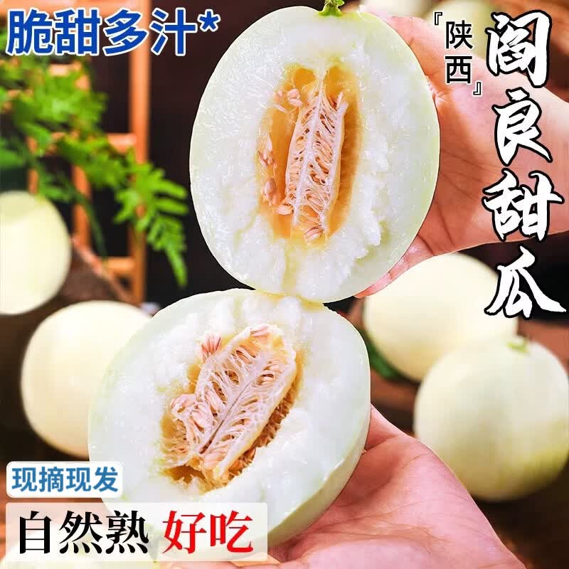 陕西阎良甜瓜5斤装 11元 - 线报酷