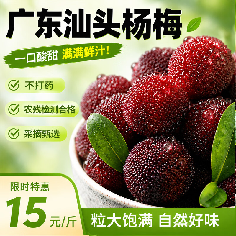 京觅汕头硬丝杨梅净重2斤 单果12g+ 28.9元 - 线报酷