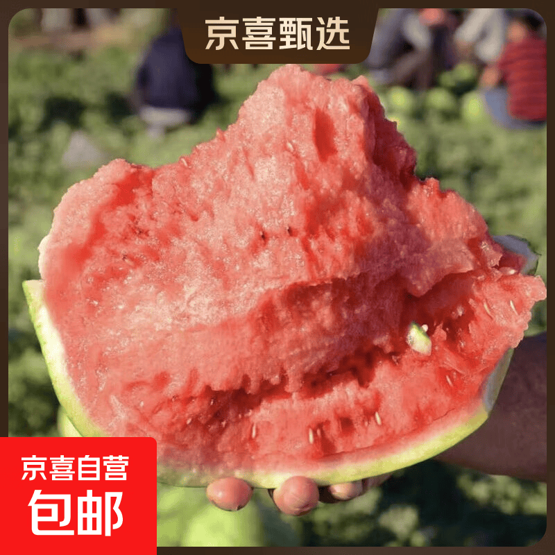 安徽美都麒麟瓜5-6斤 13.9元 - 86线报