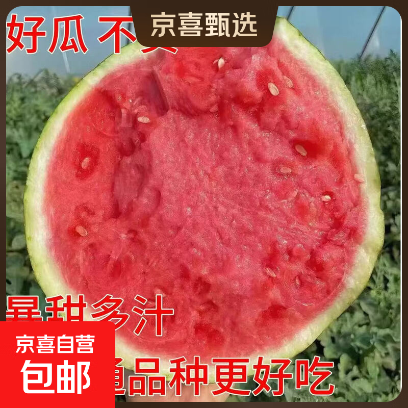 麒麟美都西瓜5到7斤 10.9元 - 86线报