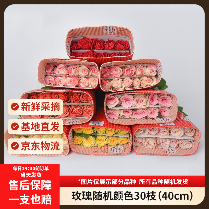 京东鲜花玫瑰花随机颜色30枝40cm 18.90元 - 86线报