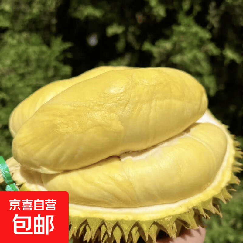 泰国金枕巴掌榴莲净重8-10斤2-4个果 149元 - 线报酷
