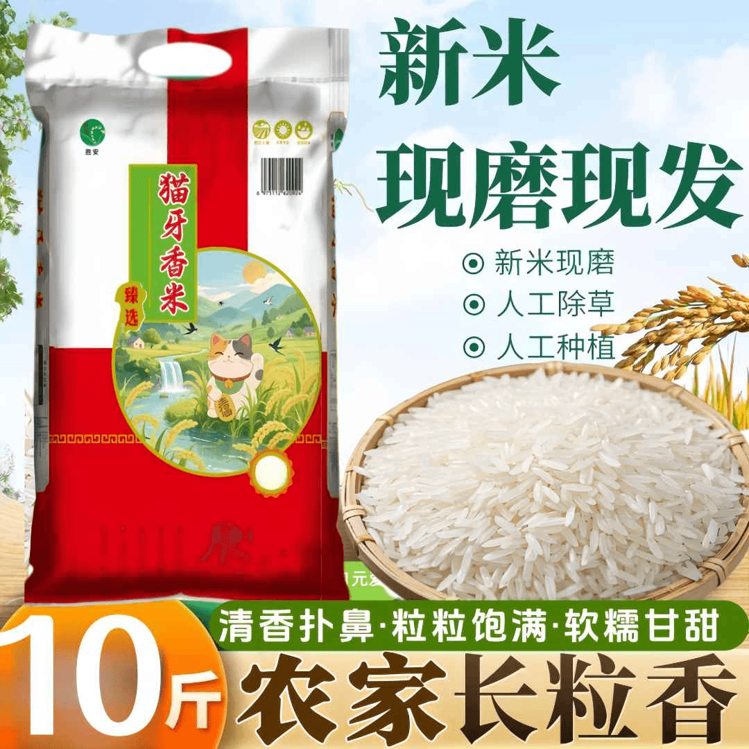 粮心妹猫牙香米10斤 19.9元，多肉套餐随机6颗 1.99元 - 86线报