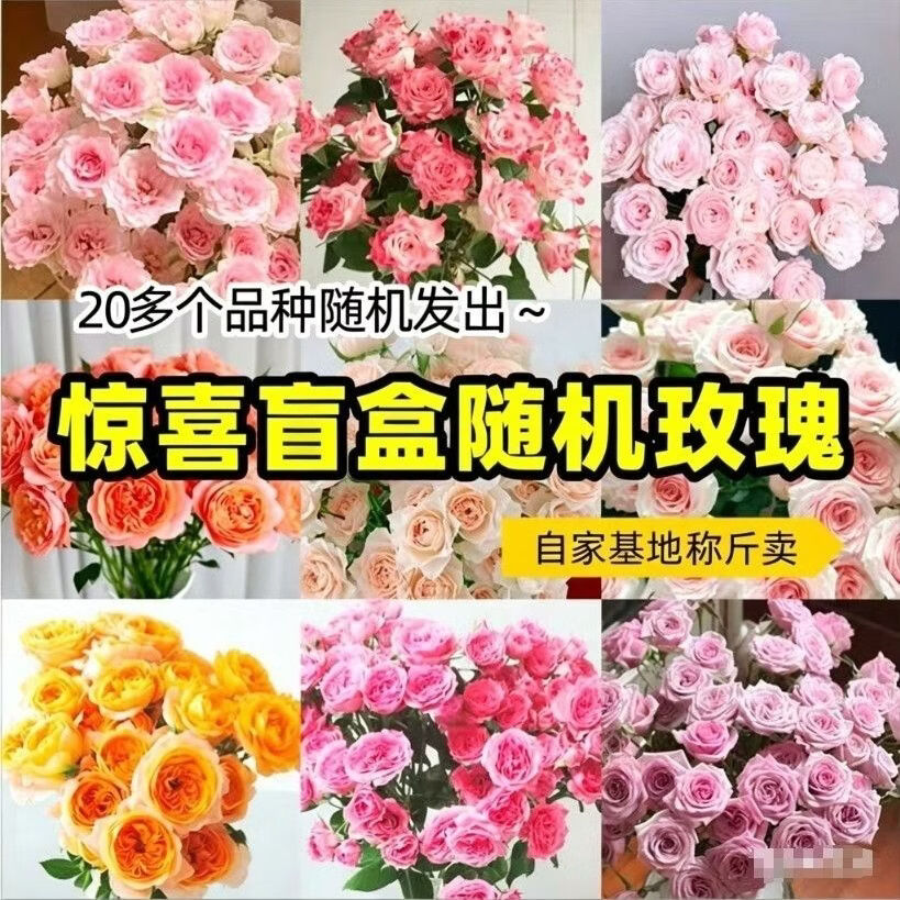 与花同行随机单头玫瑰10枝 9.99元 - 86线报