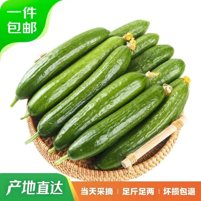 京鲜生山东荷兰水果黄瓜3斤 12.89元 - 86线报