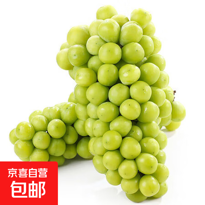 𝟑.𝟗/斤❗️阳光玫瑰葡萄🚘 带箱𝟓斤💰𝟏𝟗.𝟗❗️线下贵❗️ - 86线报