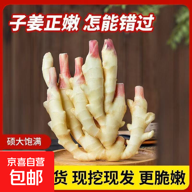 山东红芽嫩姜净0.9斤 4.999元 - 86线报