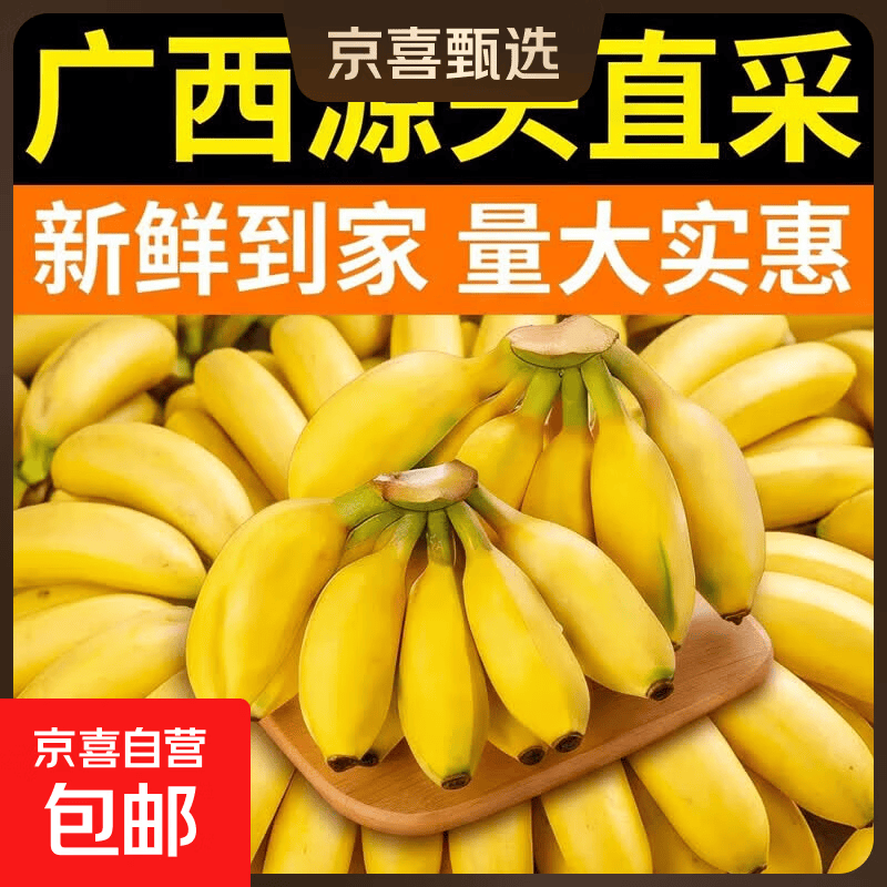 京喜加芭蕉正宗广西小米蕉香蕉新鲜水果整箱当季鲜苹果蕉自然熟粉蕉全站小米蕉带箱2斤 2.99元 - 86线报